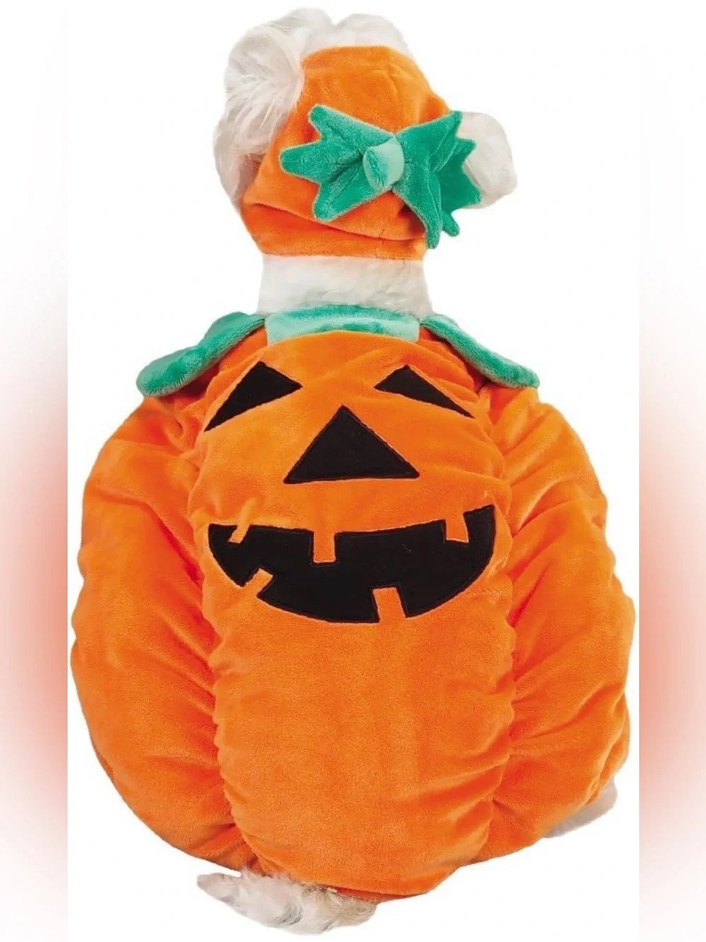 Zack & Zoey Pumpkin Pooch Dog Costume - Large